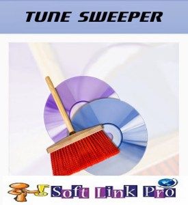 tune sweeper activation code